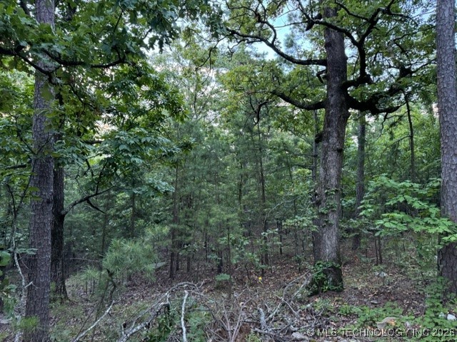 48540 Bear Creek Road Property Photo 29