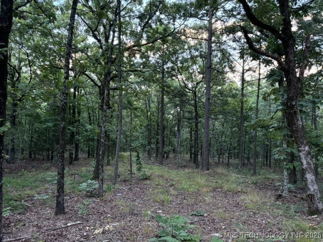 48540 Bear Creek Road Property Photo 30