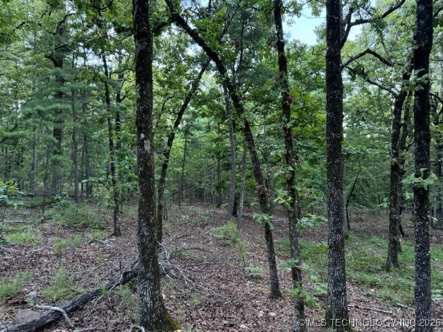 48540 Bear Creek Road Property Photo 31