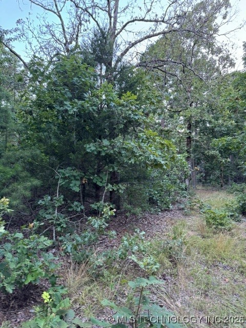 48540 Bear Creek Road Property Photo 32