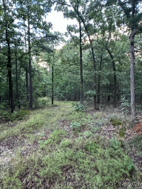 48540 Bear Creek Road Property Photo 33