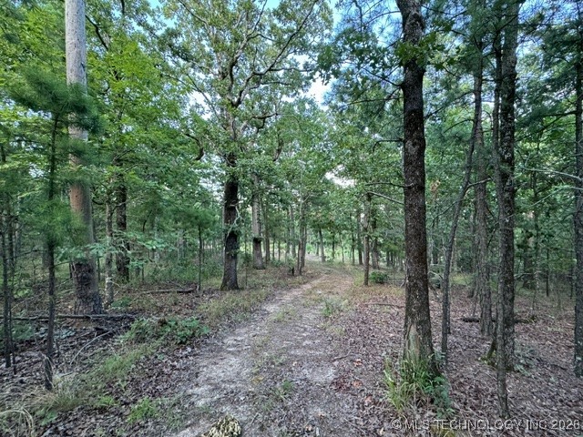 48540 Bear Creek Road Property Photo 37