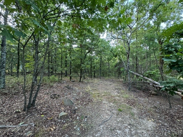 48540 Bear Creek Road Property Photo 38