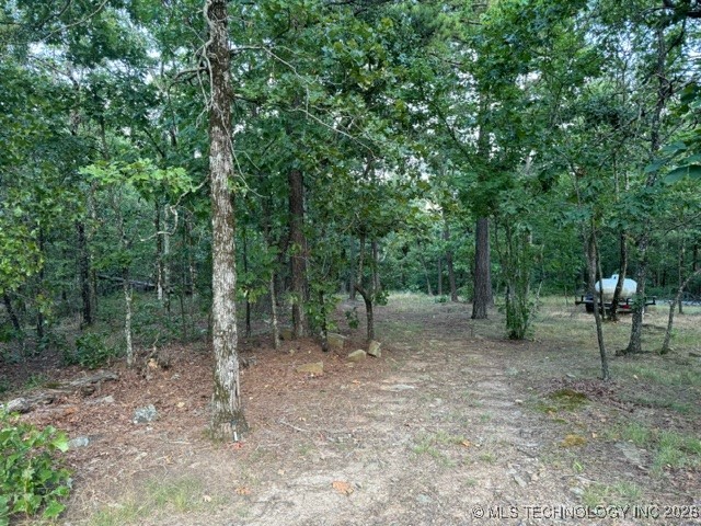 48540 Bear Creek Road Property Photo 39