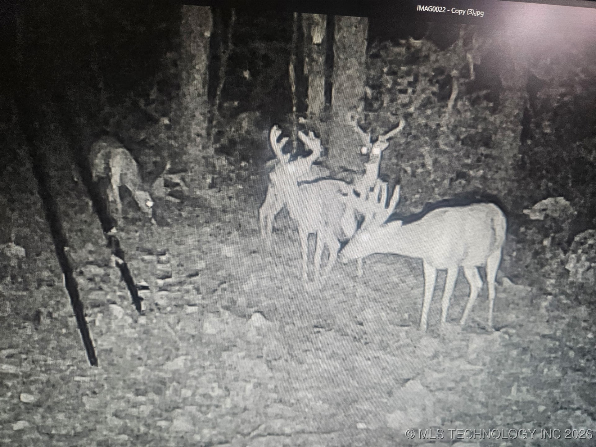 4080 N 495 Road Property Photo 11