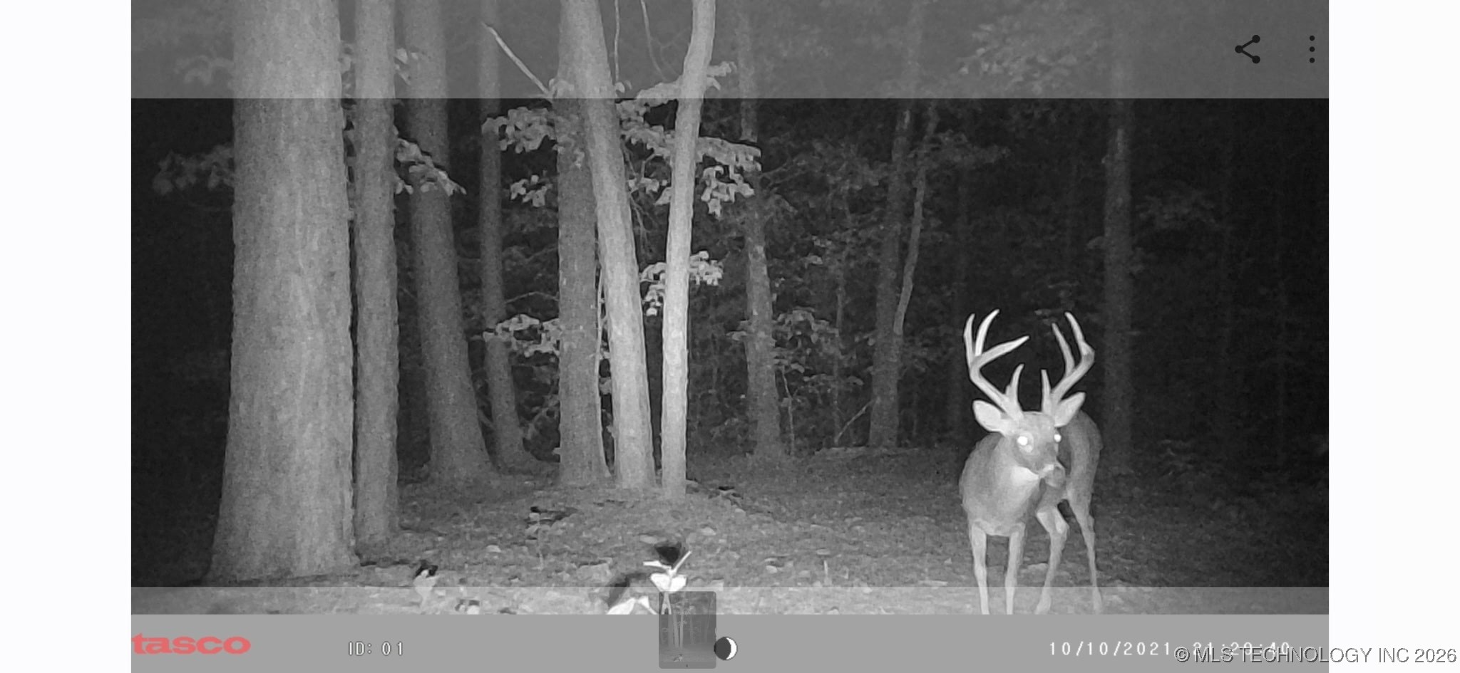 4080 N 495 Road Property Photo 12