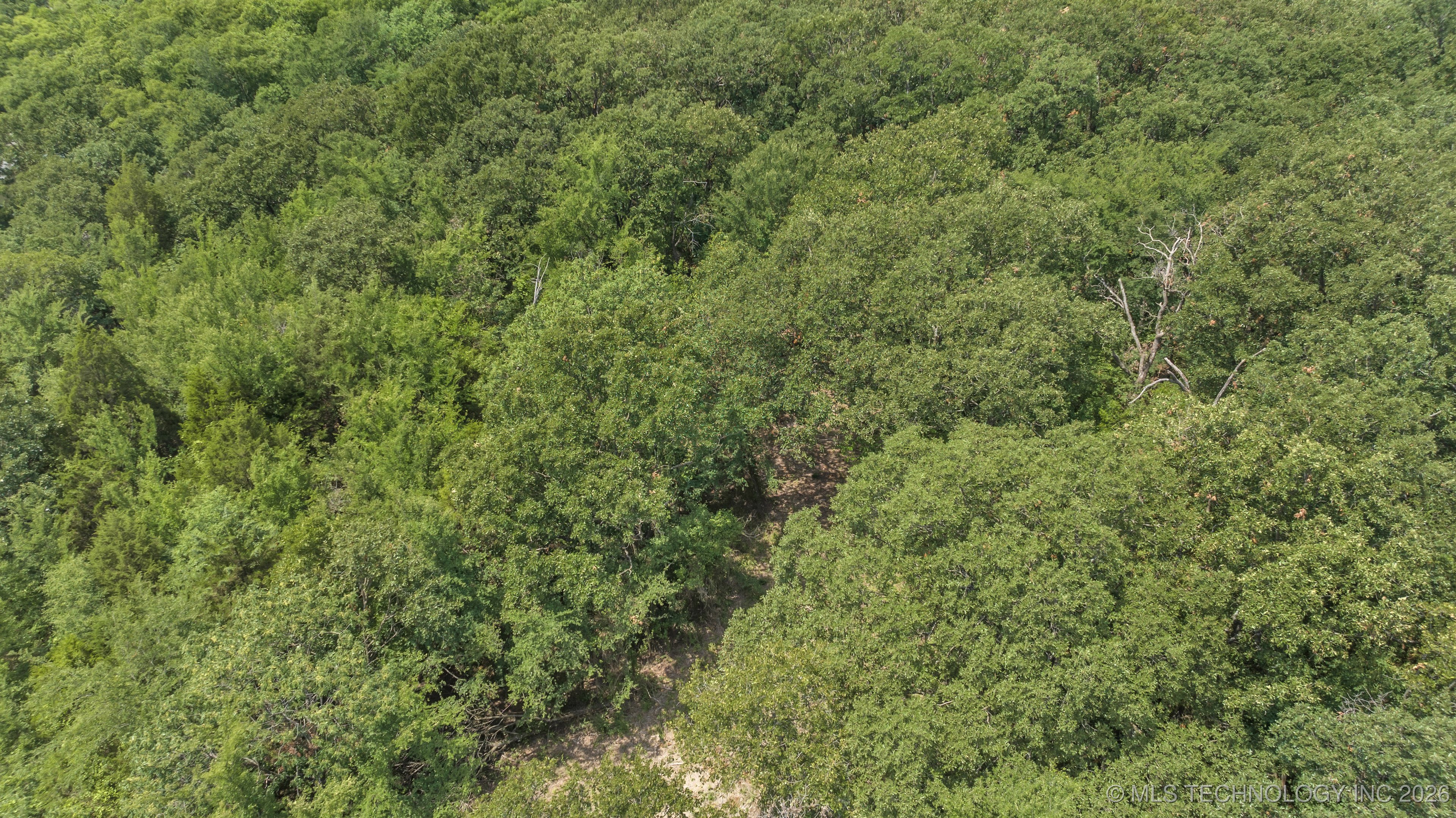 9200 S Hwy 97 Property Photo 11