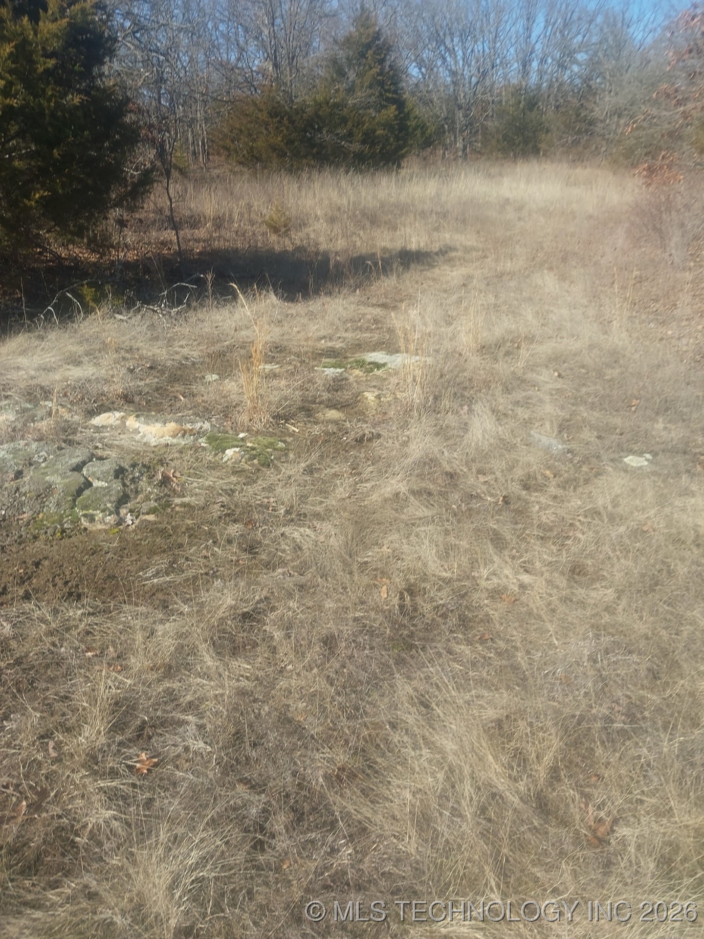 W Hickory Drive Property Photo 4