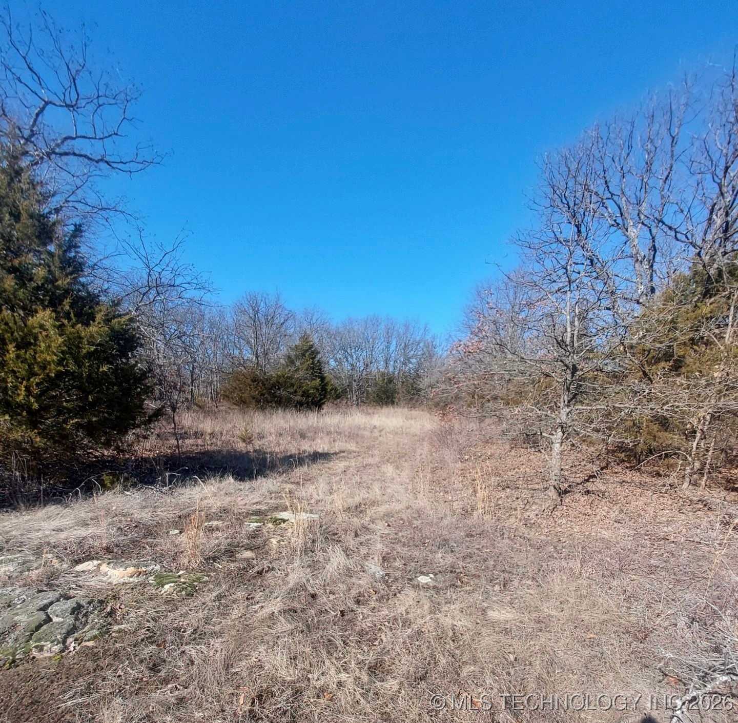 W Hickory Drive Property Photo 5