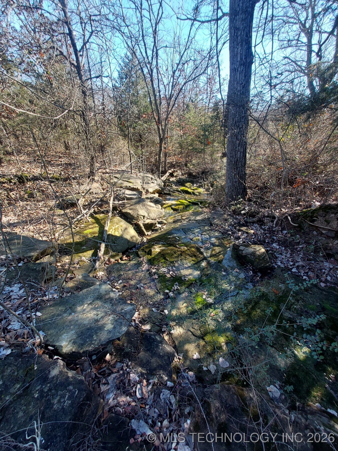 W Hickory Drive Property Photo 7