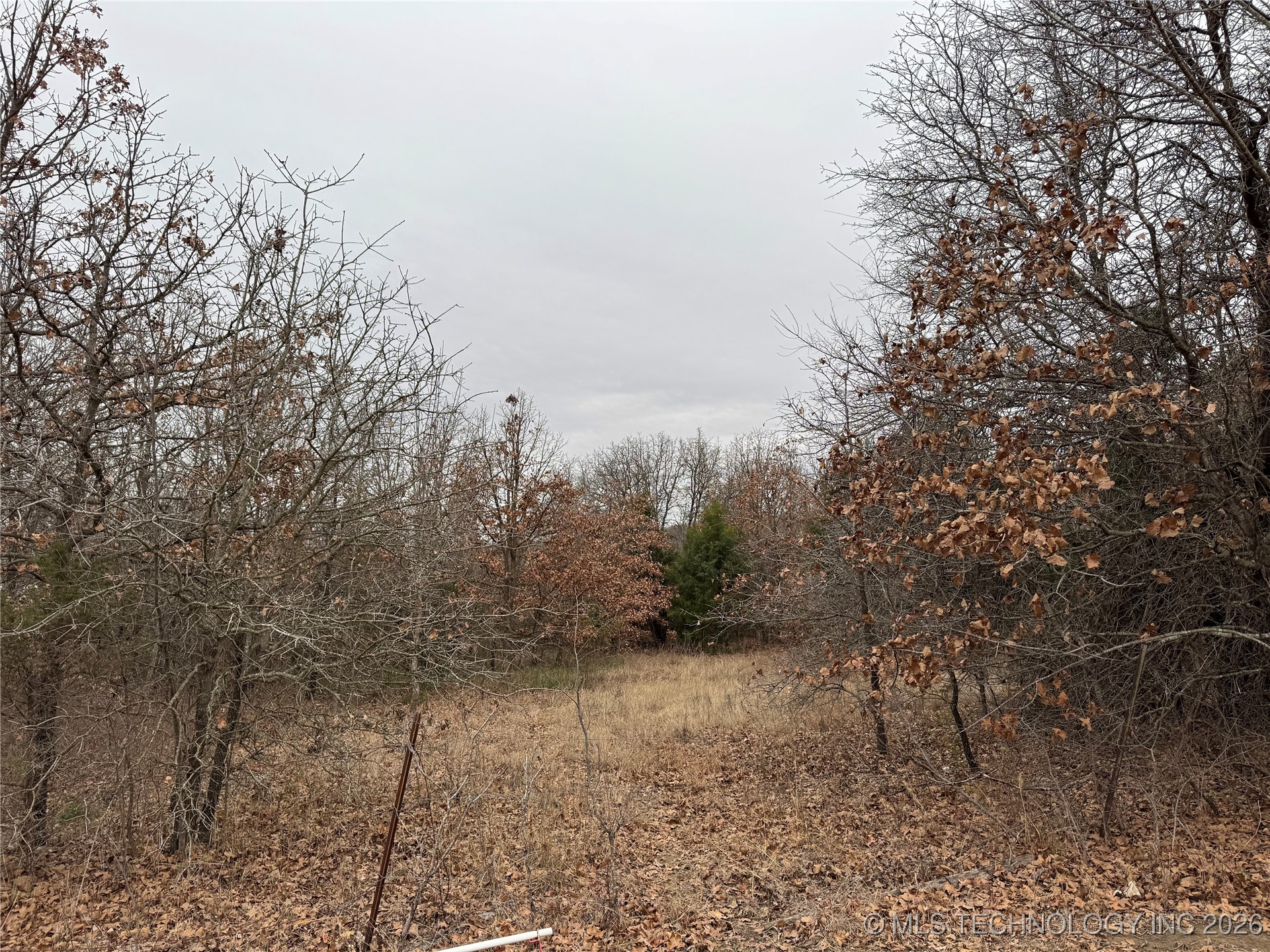 W Hickory Drive Property Photo 8