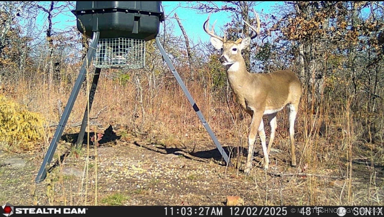 2600638 Property Photo 9