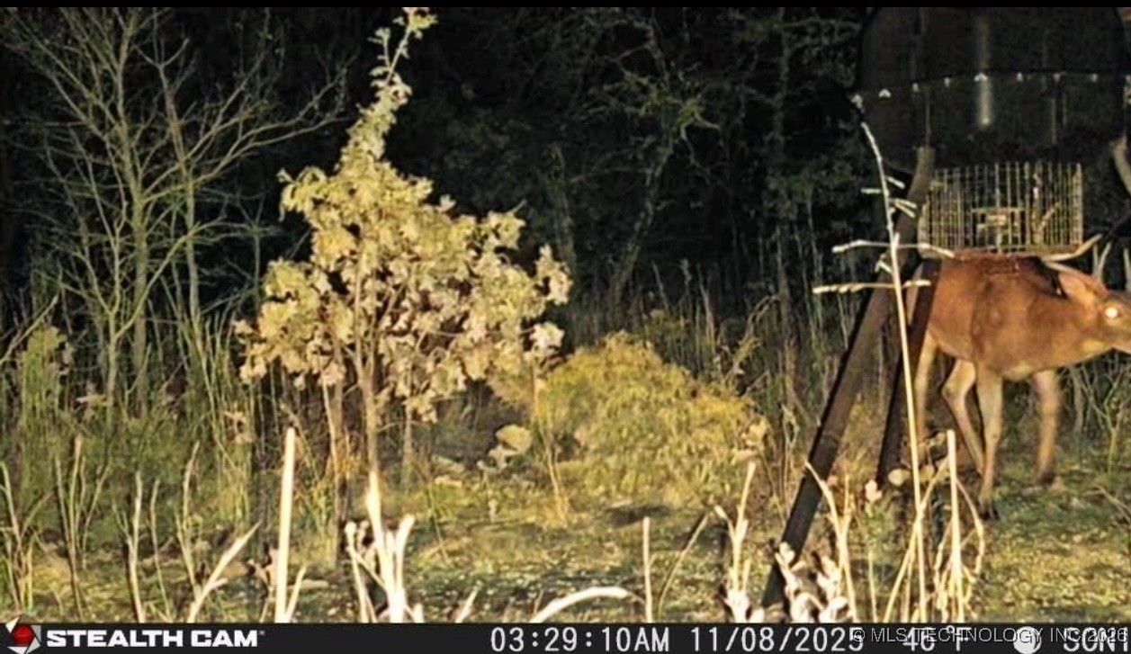 2600638 Property Photo 10