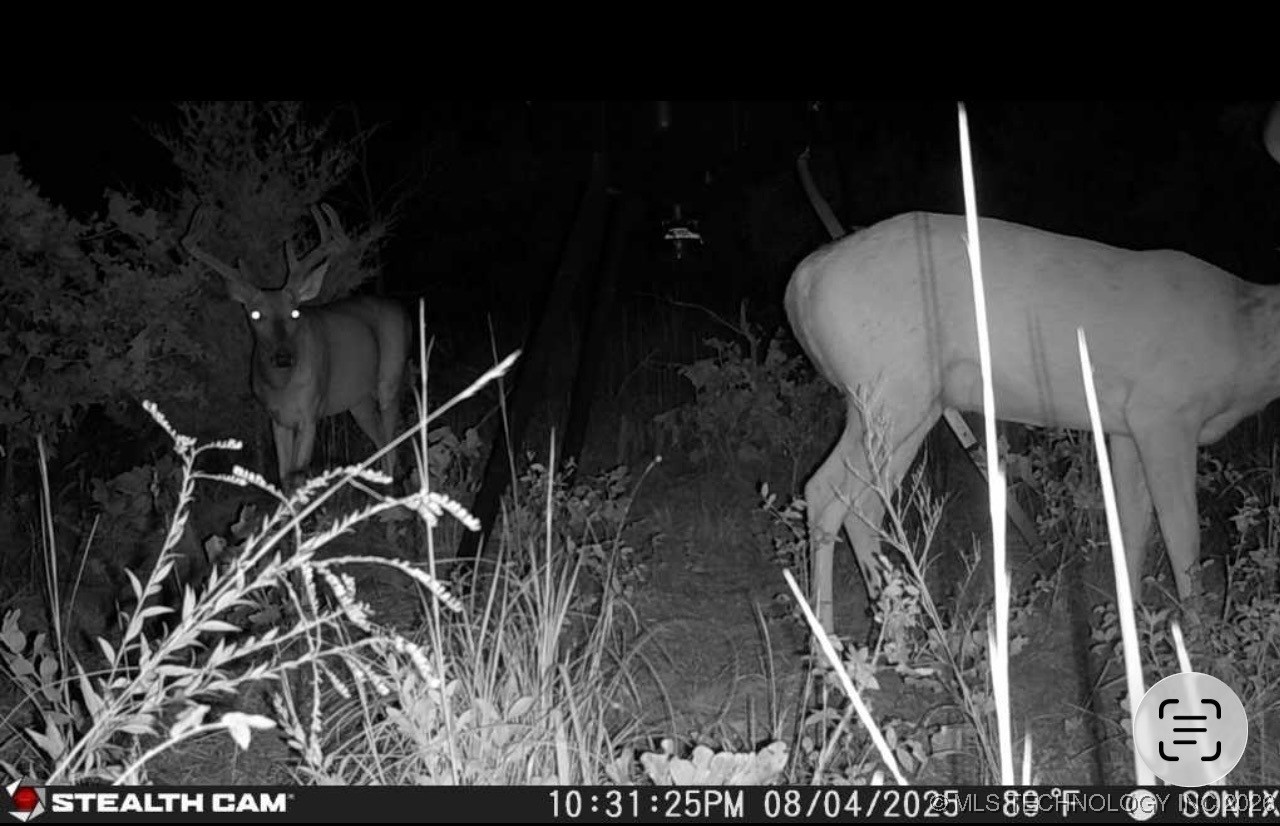 2600638 Property Photo 11