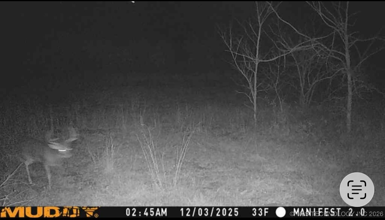 2600638 Property Photo 12