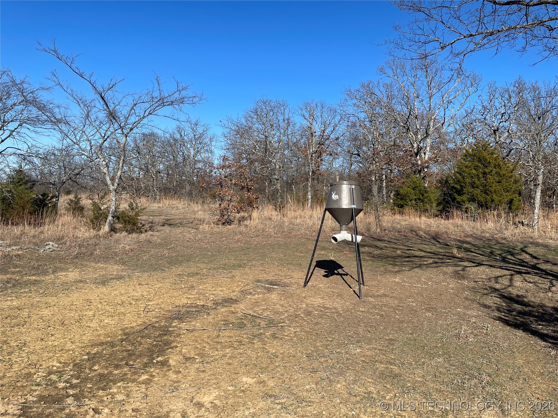 2600638 Property Photo 14