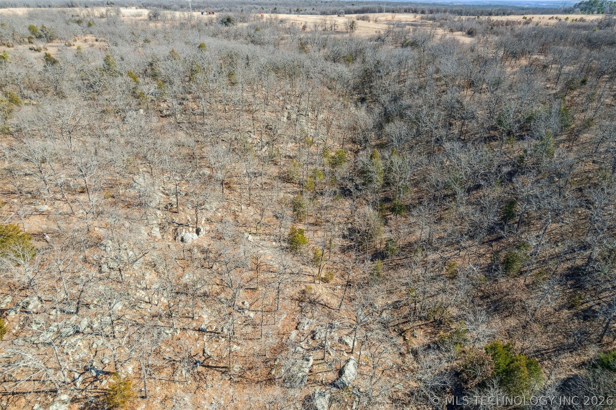 2600638 Property Photo 22