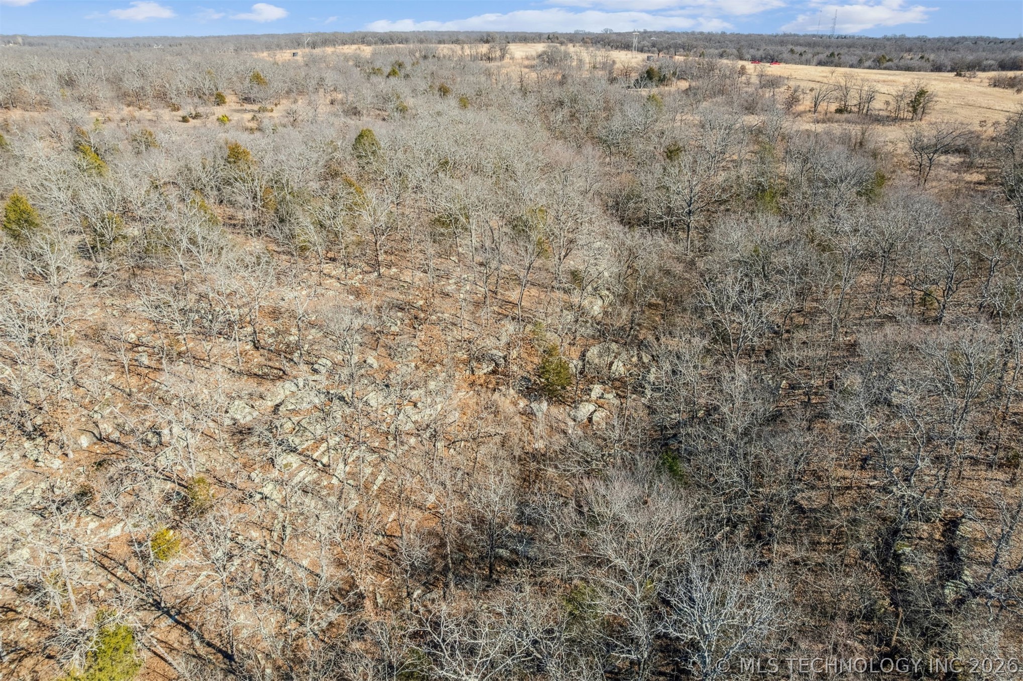 2600638 Property Photo 23