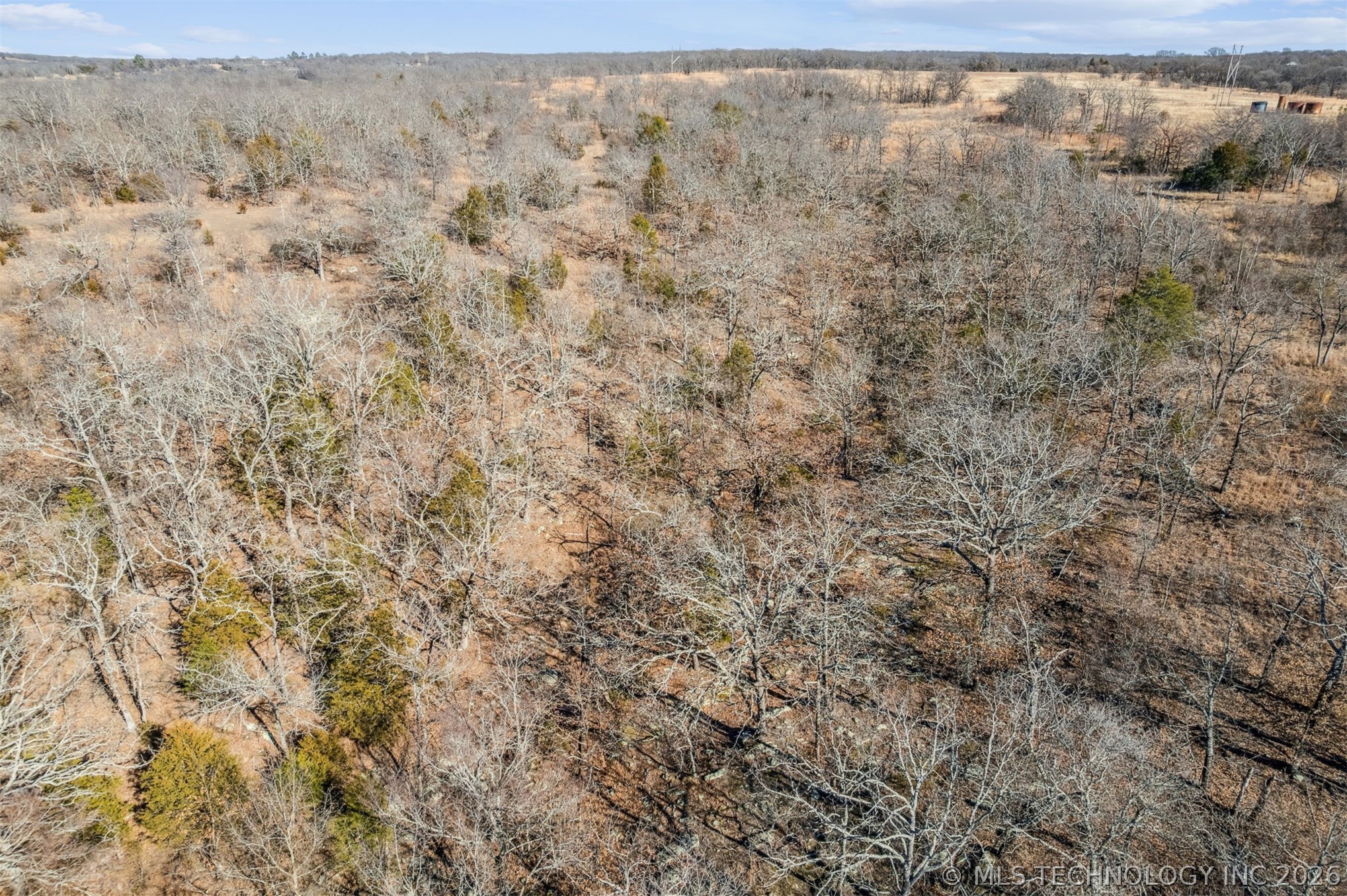 2600638 Property Photo 24