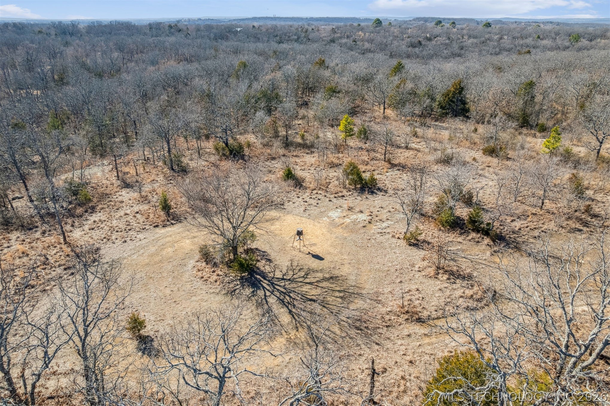 2600638 Property Photo 26