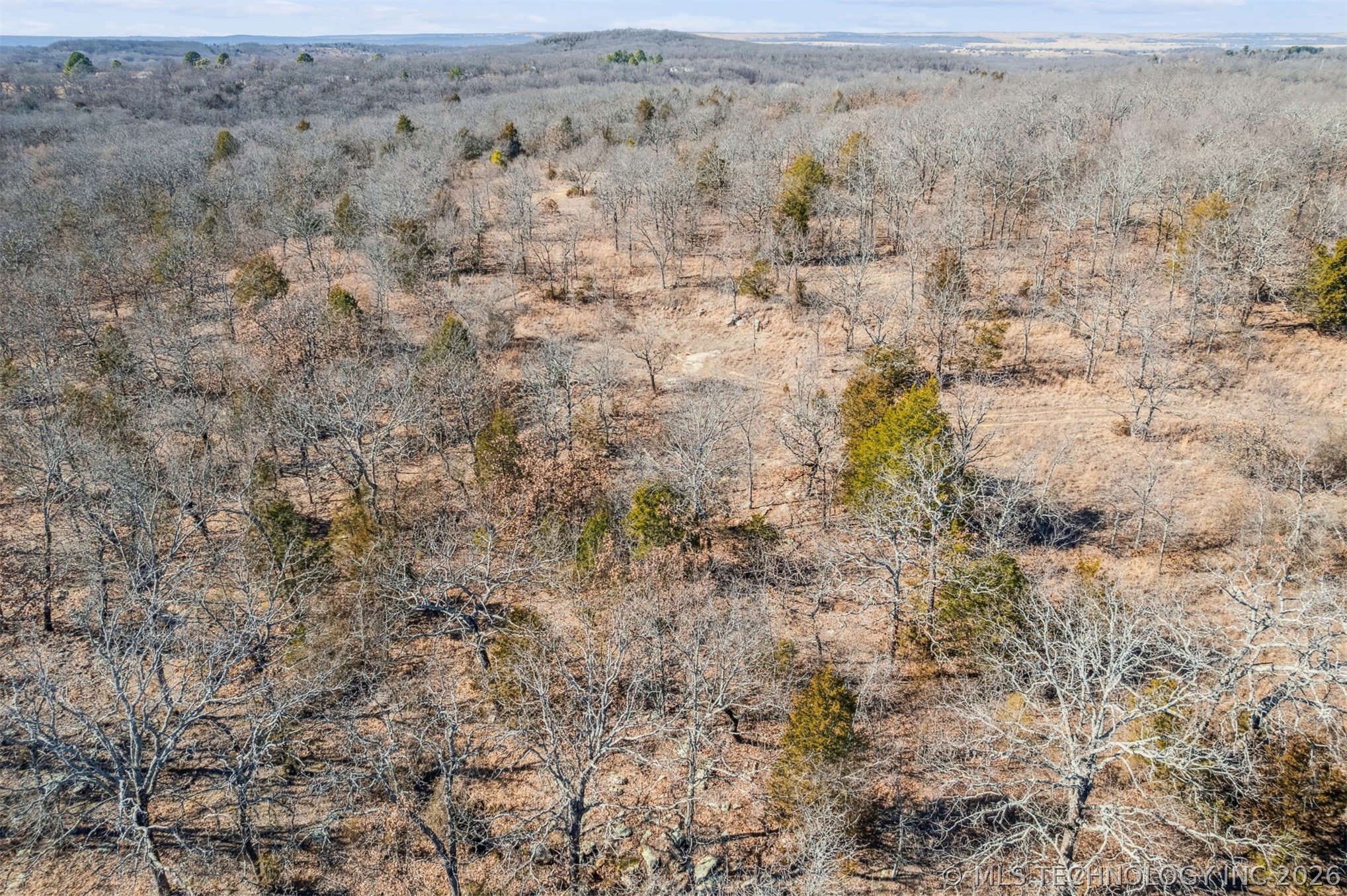 2600638 Property Photo 29