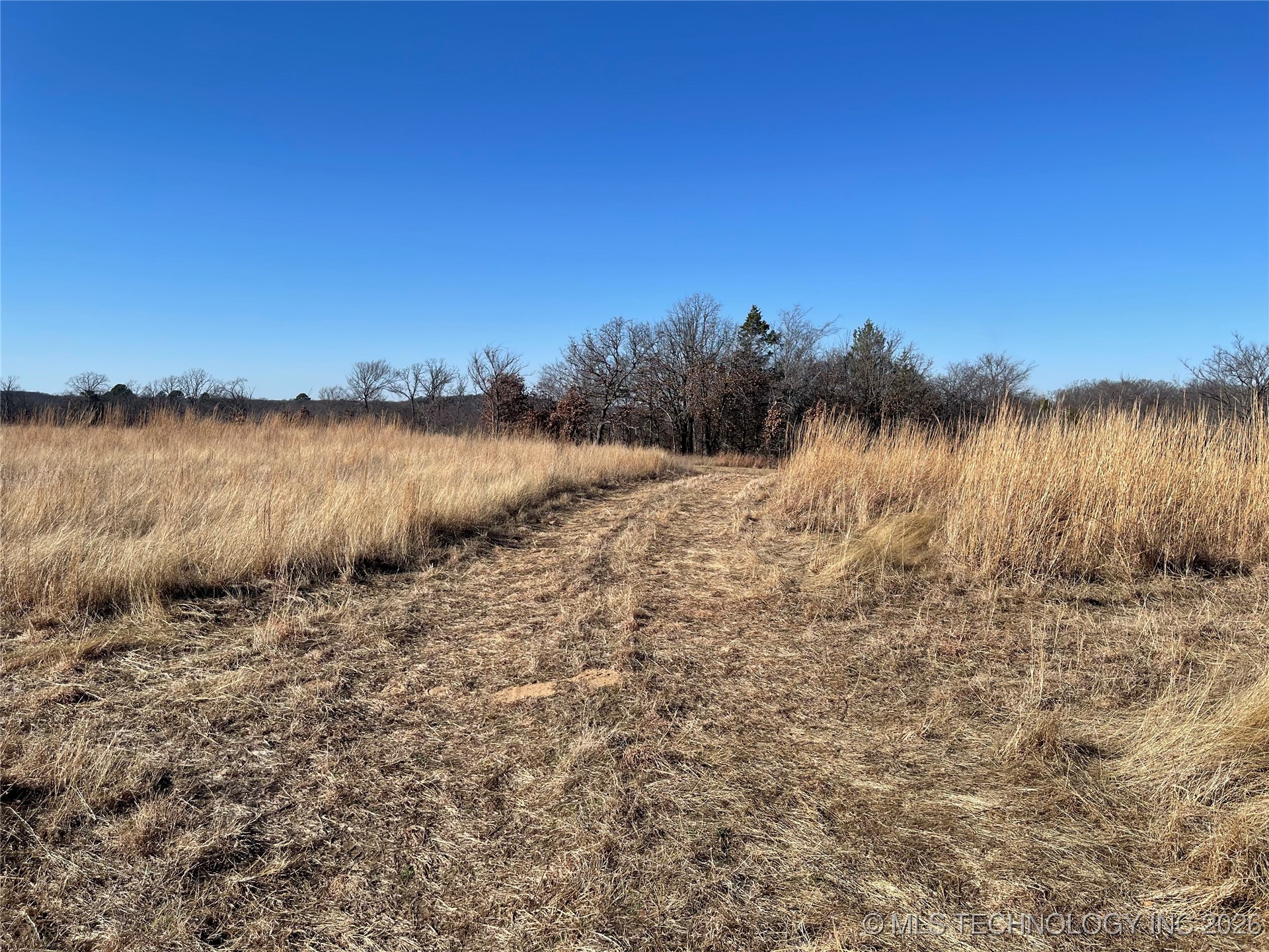 2600638 Property Photo 40