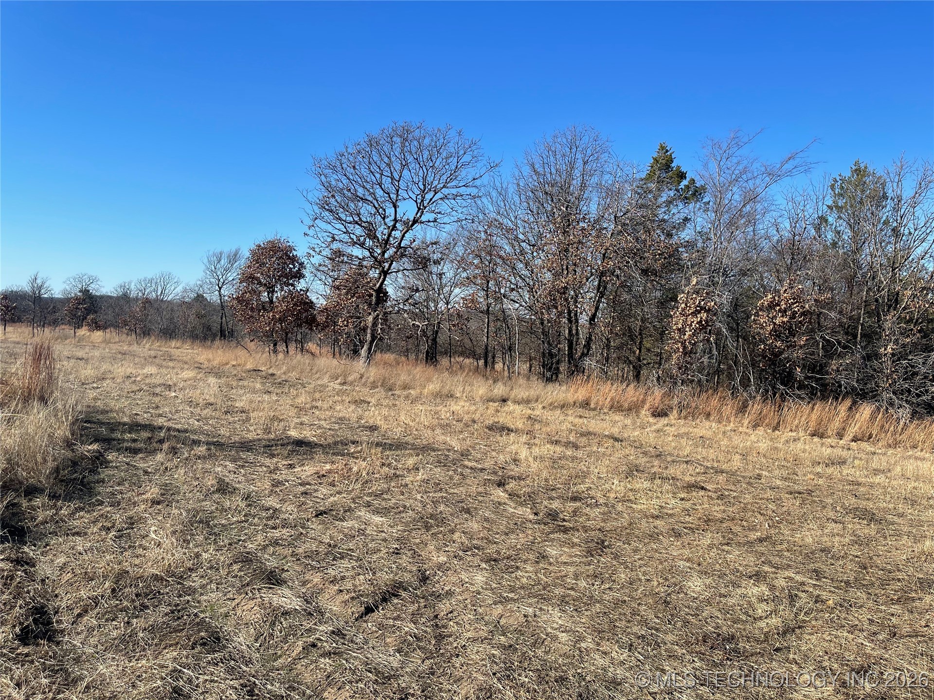 2600638 Property Photo 42