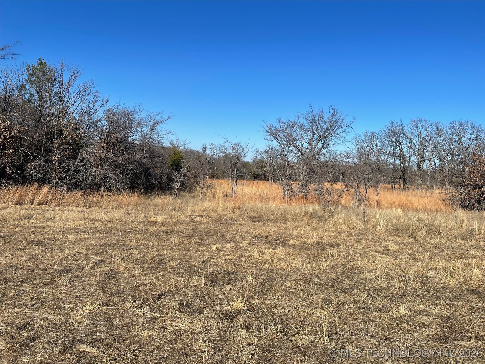 2600638 Property Photo 43