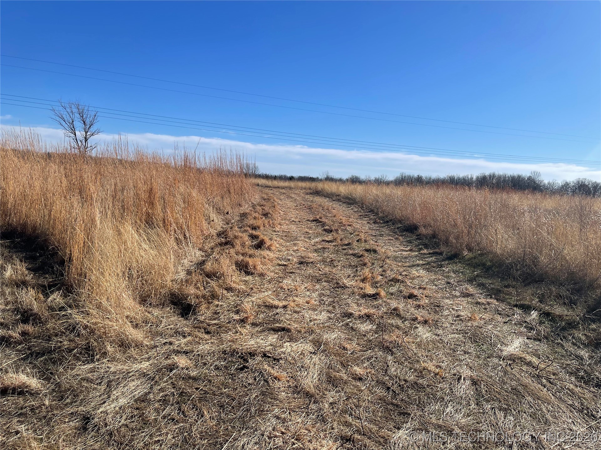 2600638 Property Photo 44