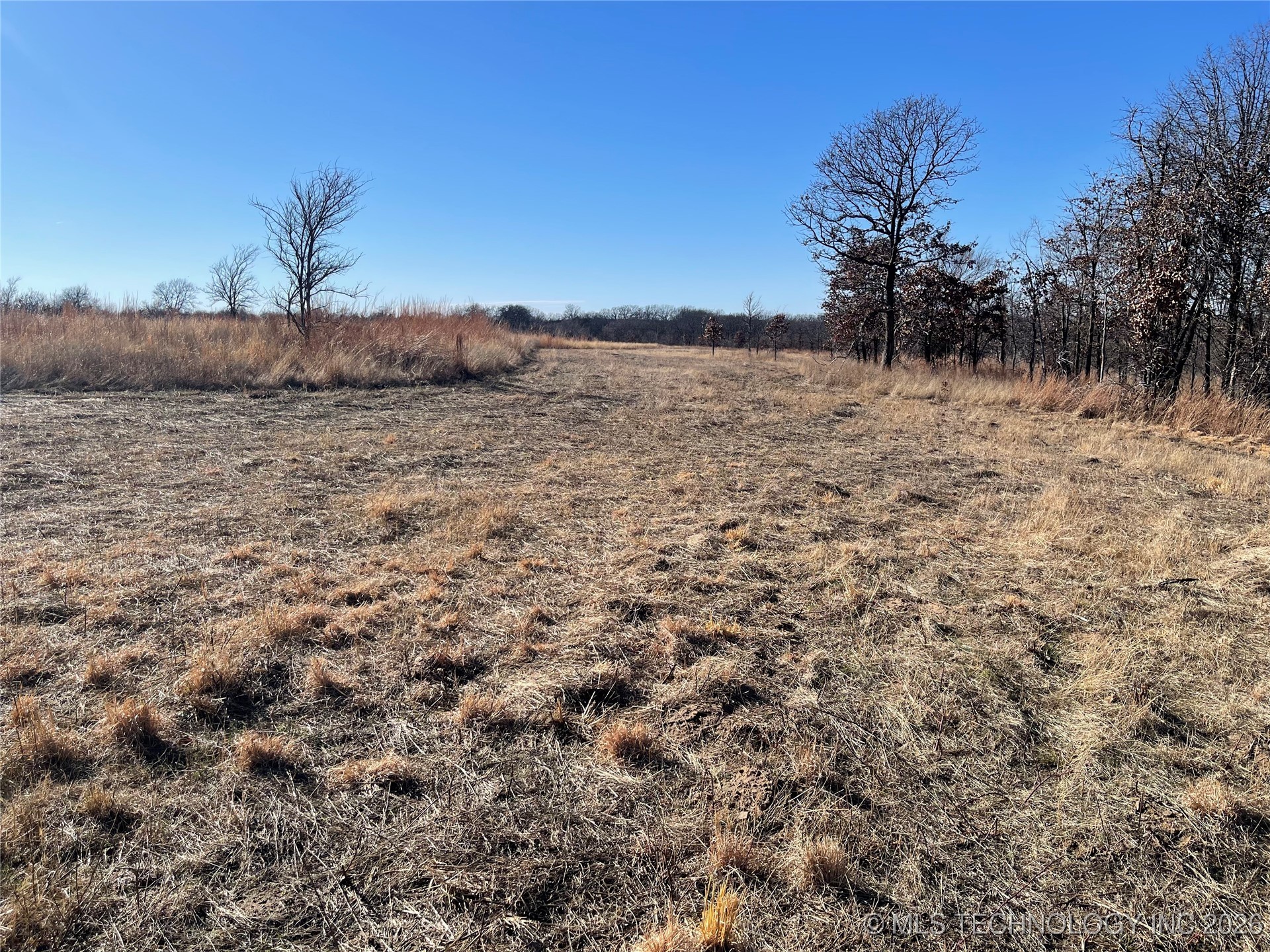 2600638 Property Photo 45