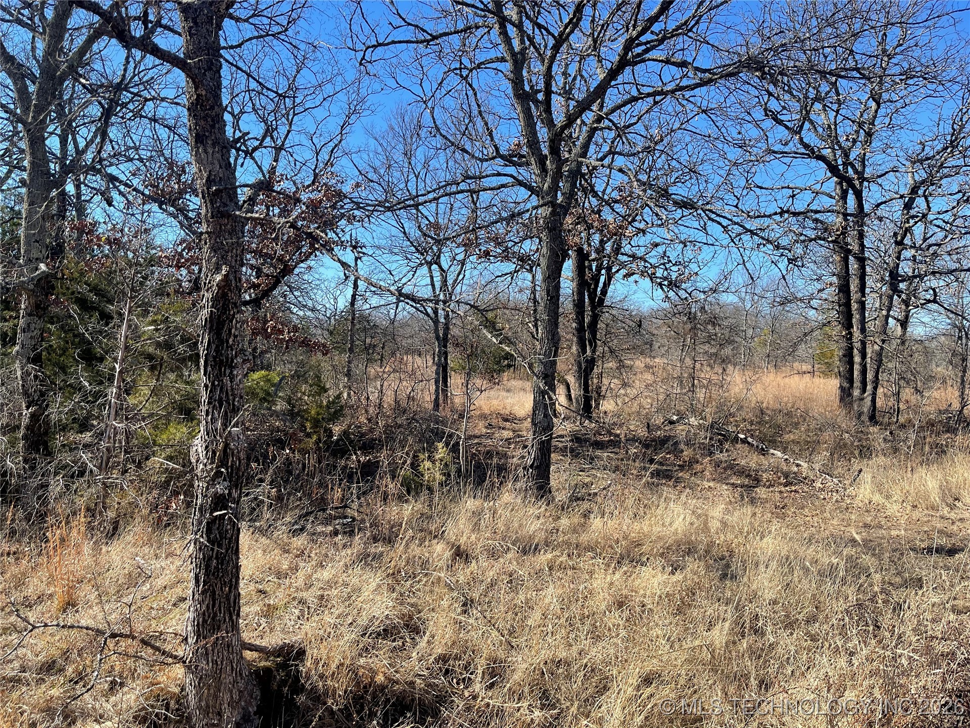 2600638 Property Photo 46