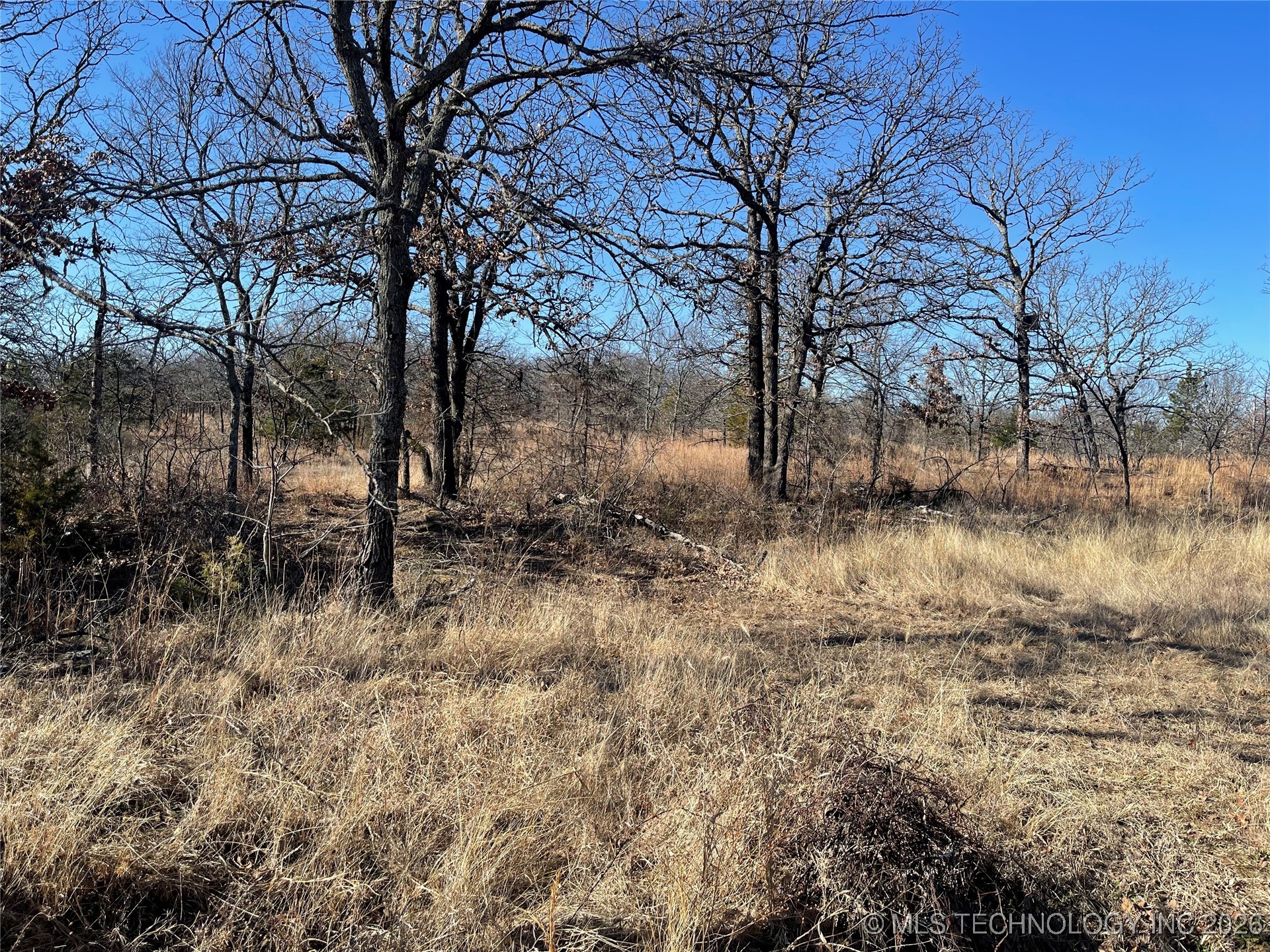 2600638 Property Photo 47