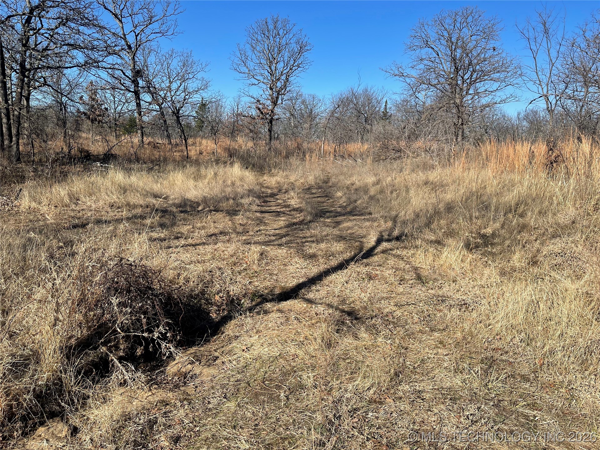 2600638 Property Photo 48