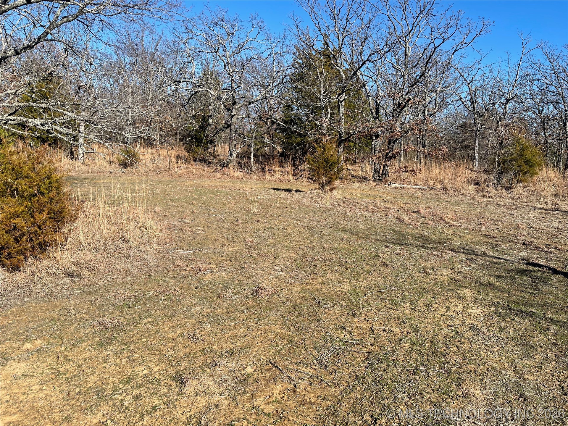 2600638 Property Photo 49