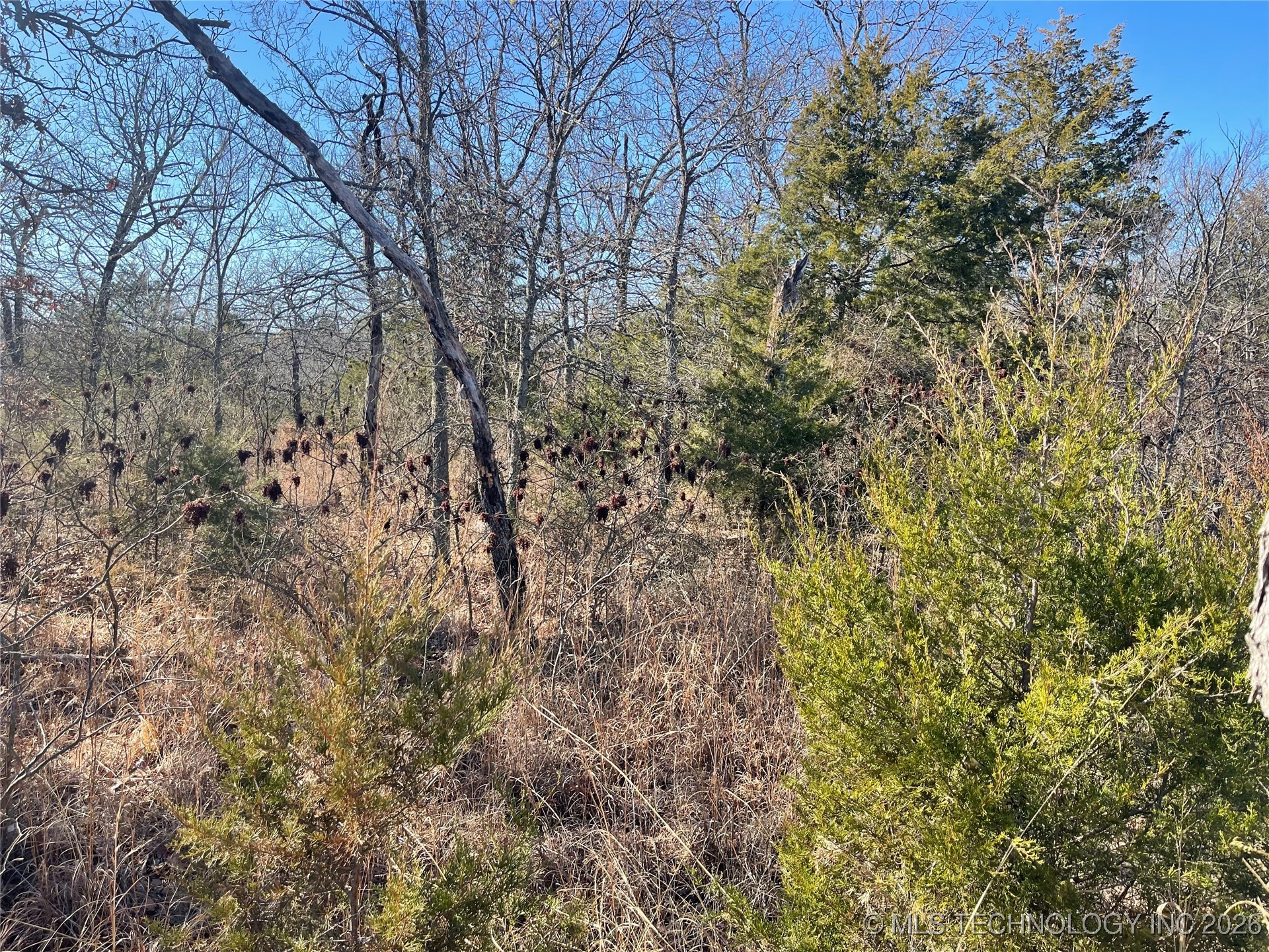 2600638 Property Photo 50