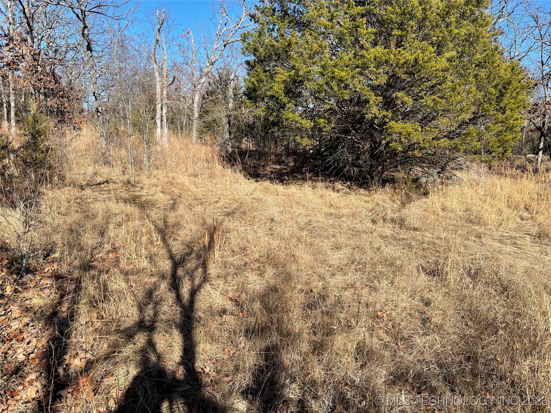 2600638 Property Photo 51