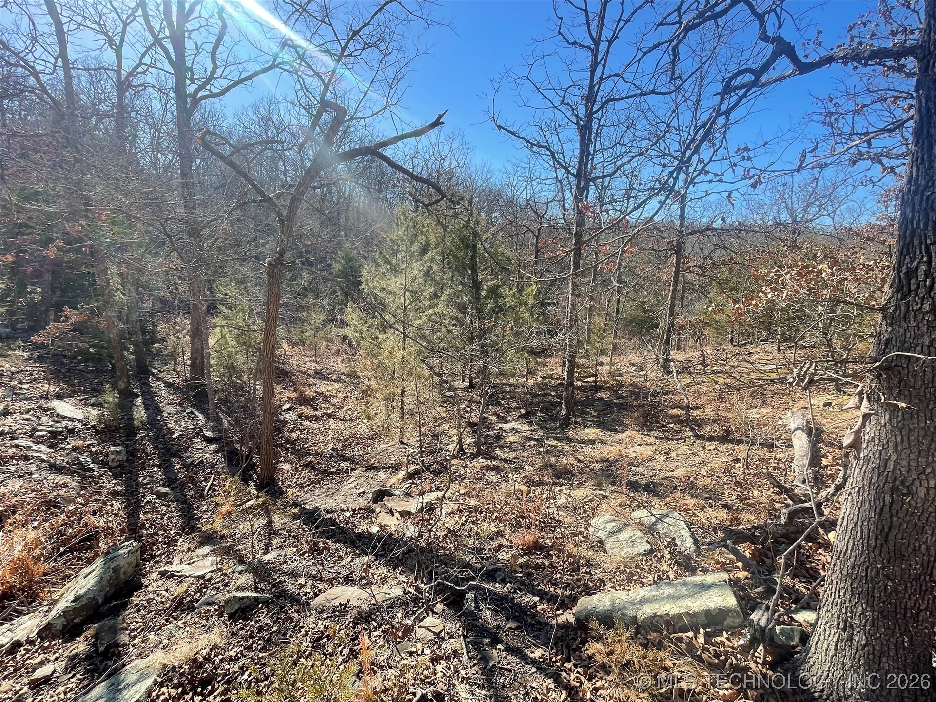 2600638 Property Photo 52