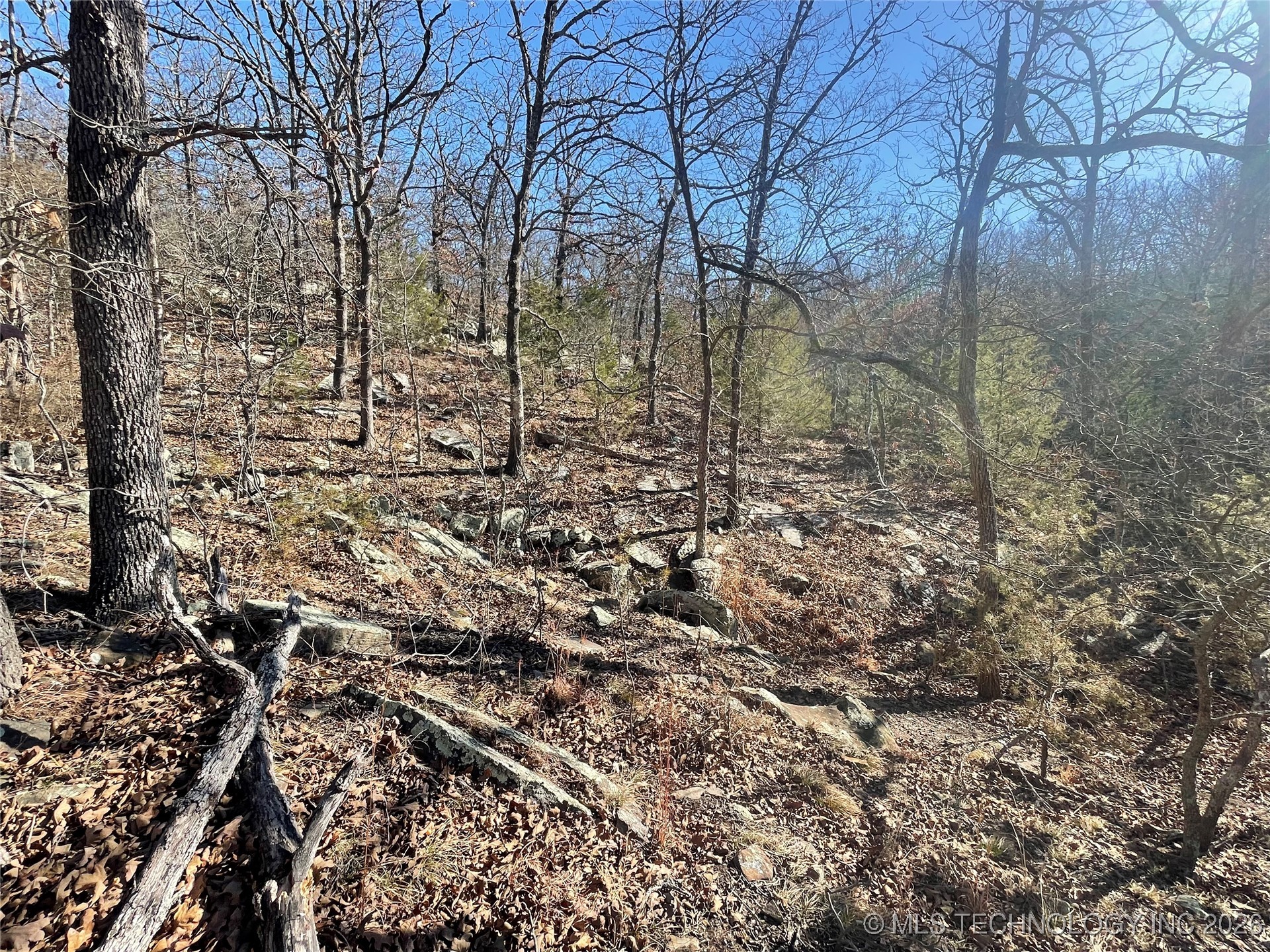 2600638 Property Photo 53