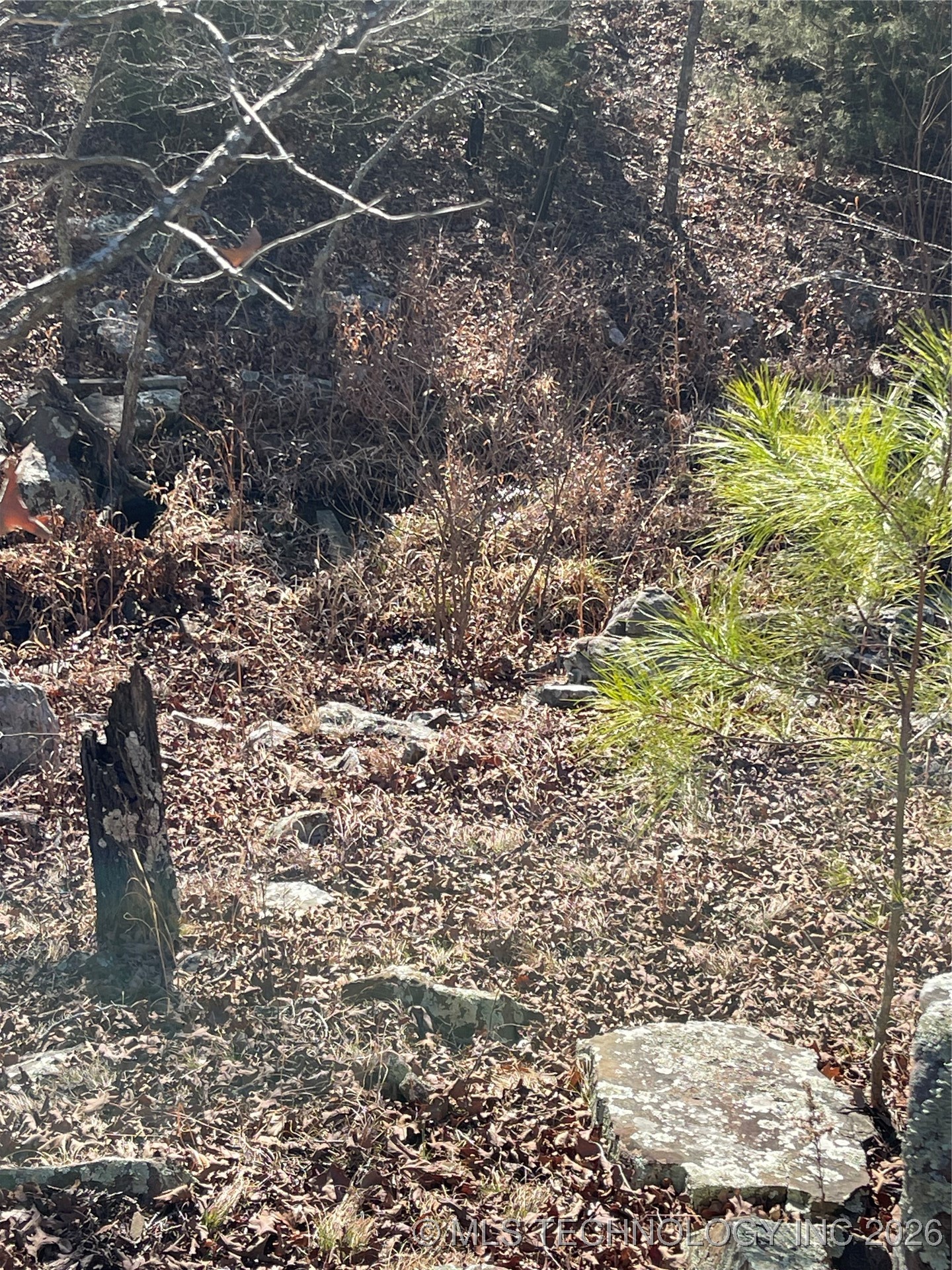 2600638 Property Photo 54