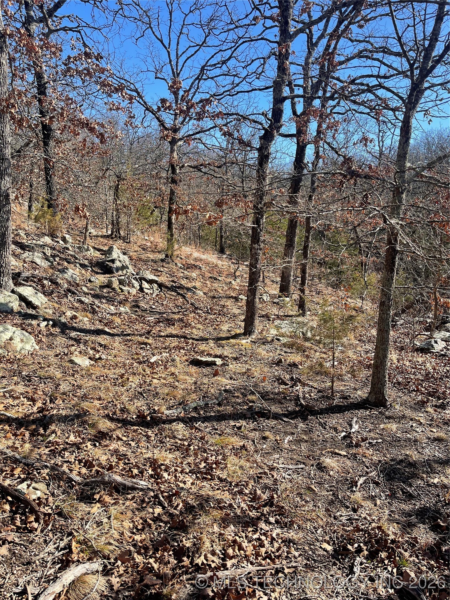 2600638 Property Photo 55