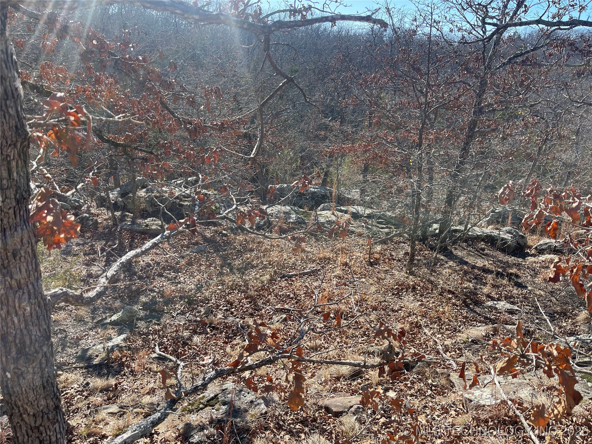 2600638 Property Photo 56