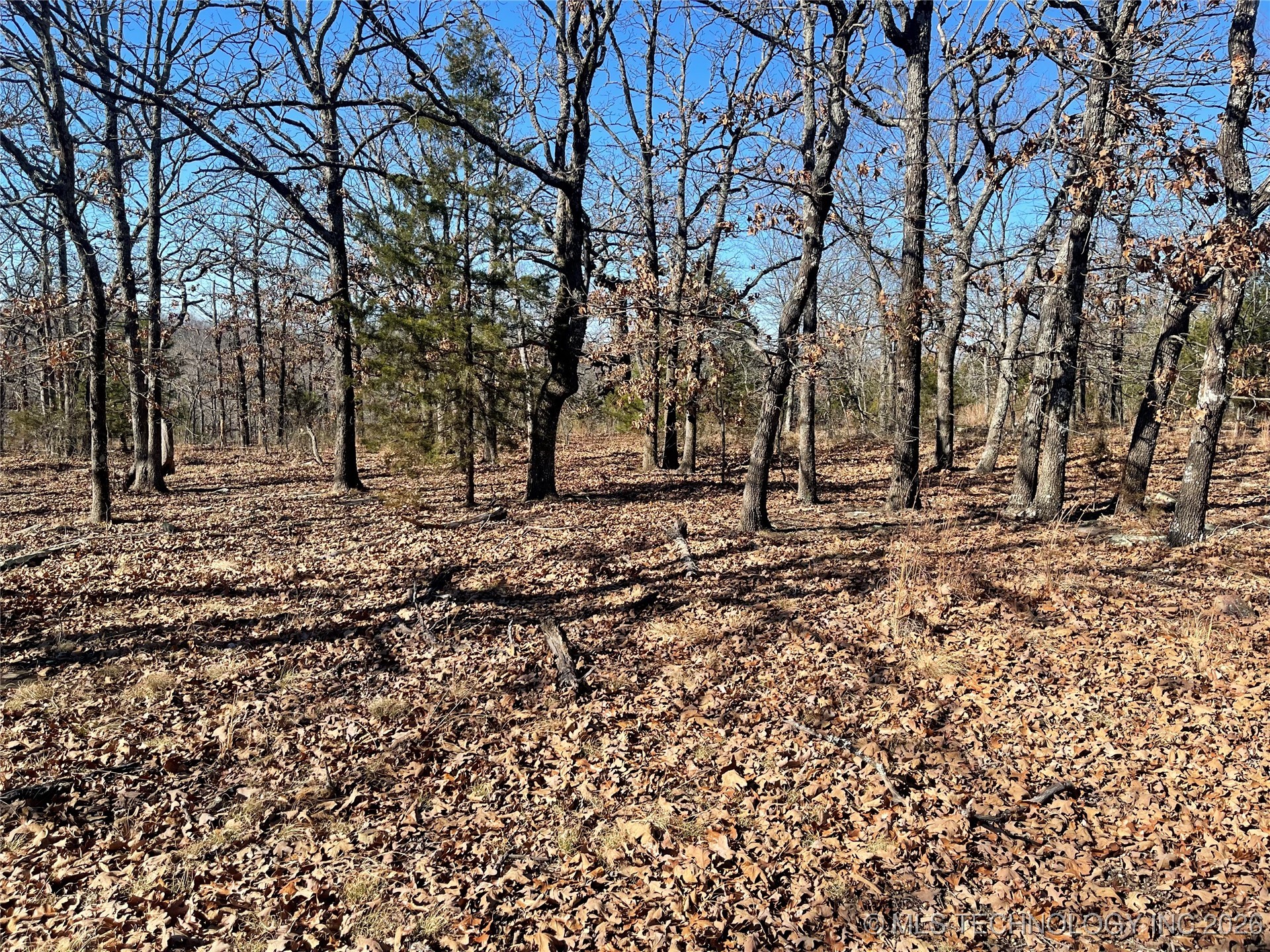 2600638 Property Photo 57