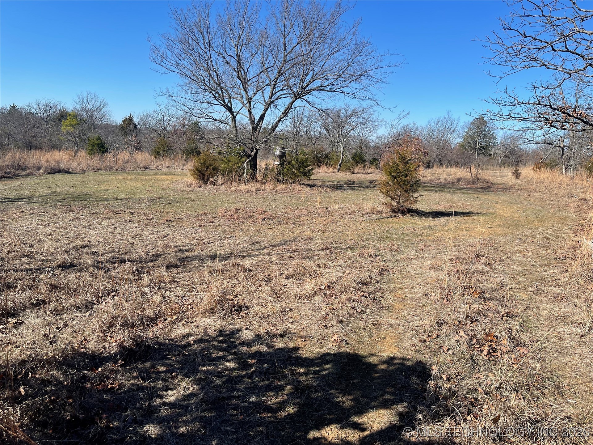 2600638 Property Photo 59