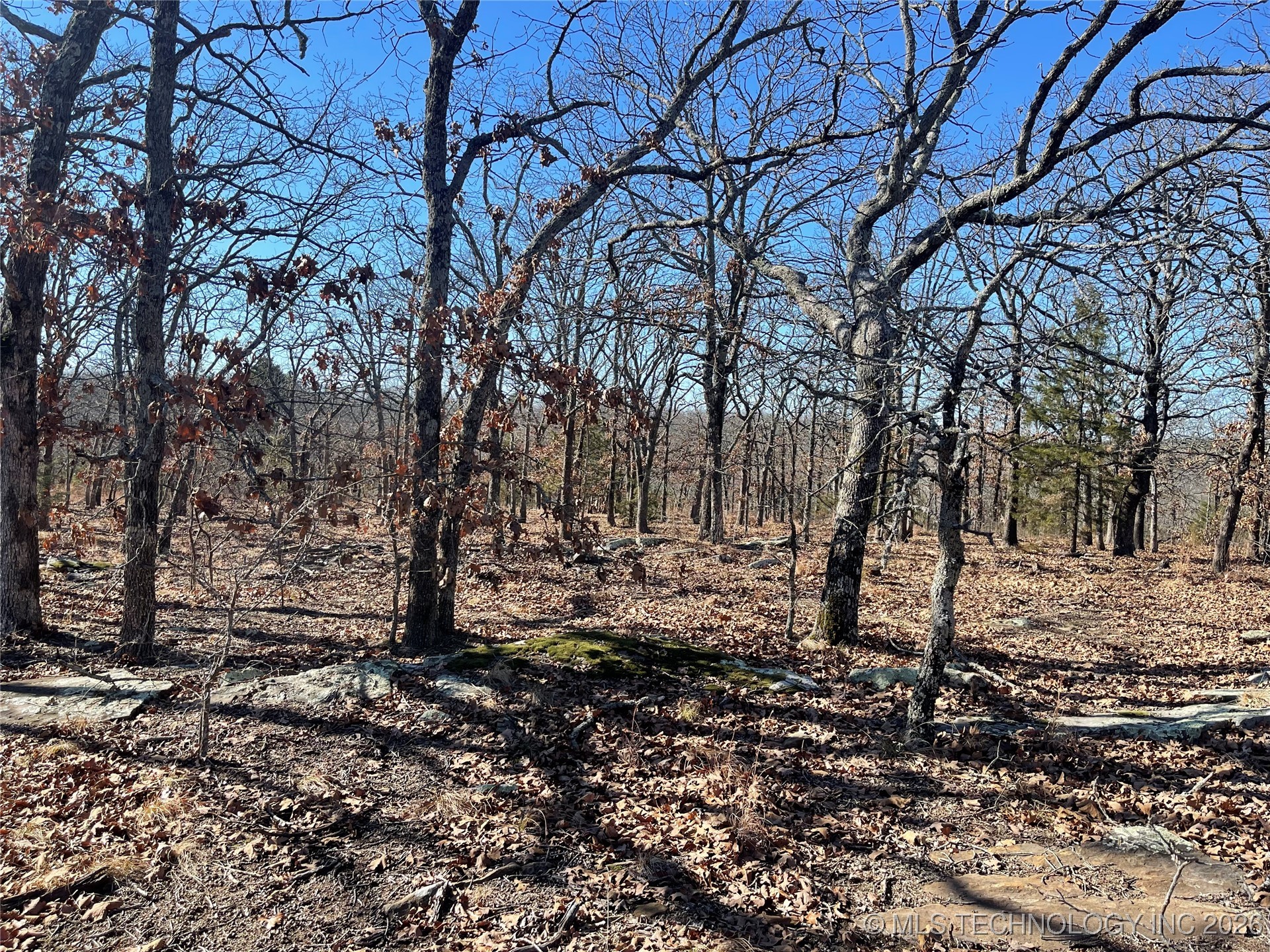 2600638 Property Photo 60