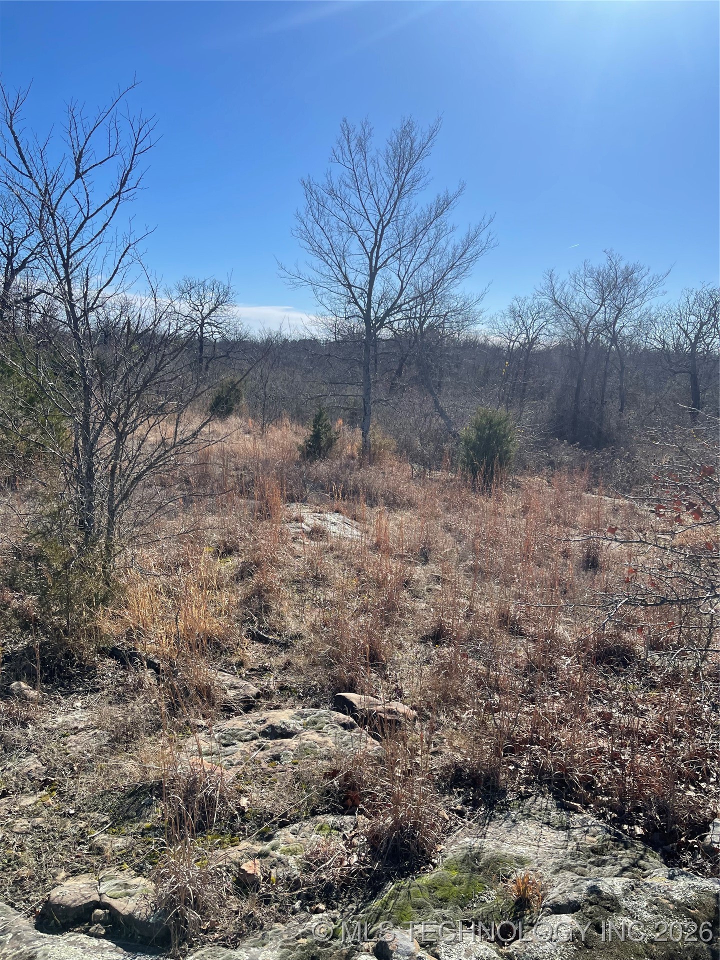 2600638 Property Photo 61