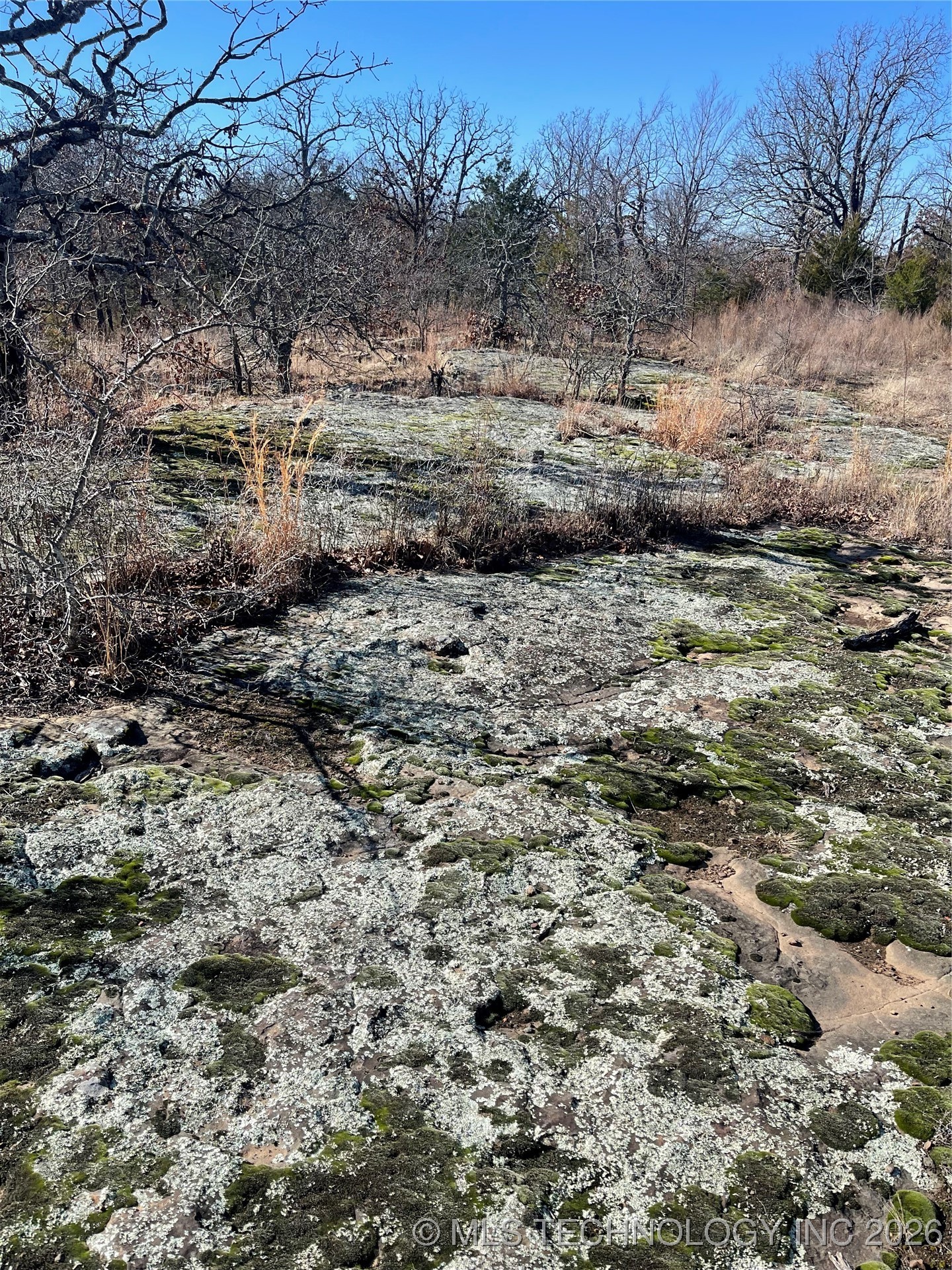 2600638 Property Photo 62