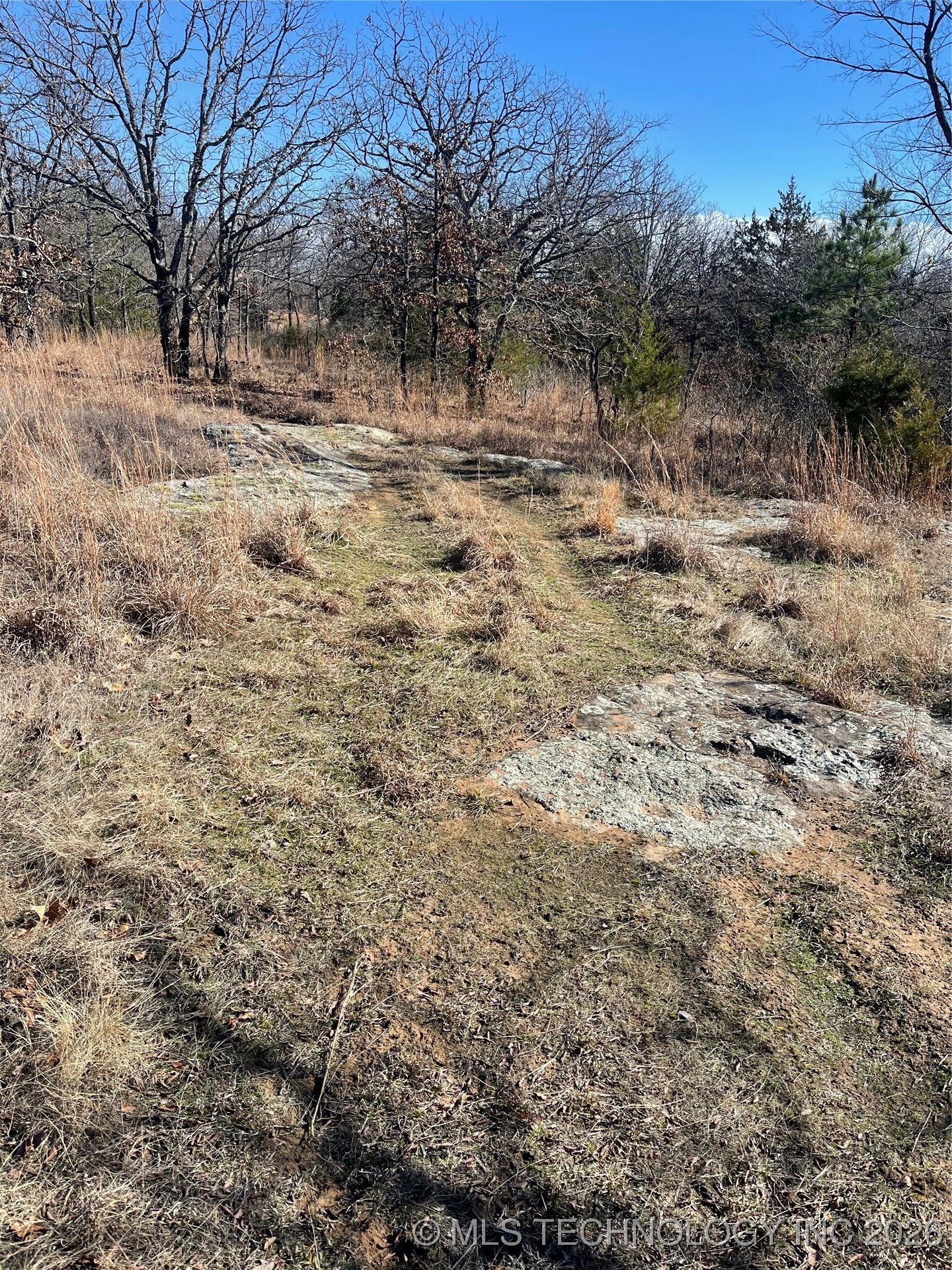 2600638 Property Photo 63