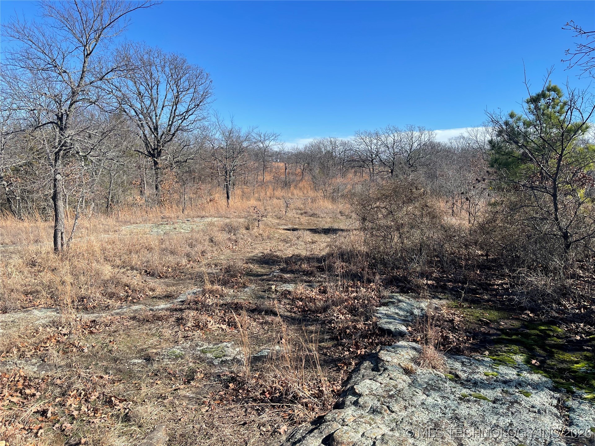 2600638 Property Photo 64