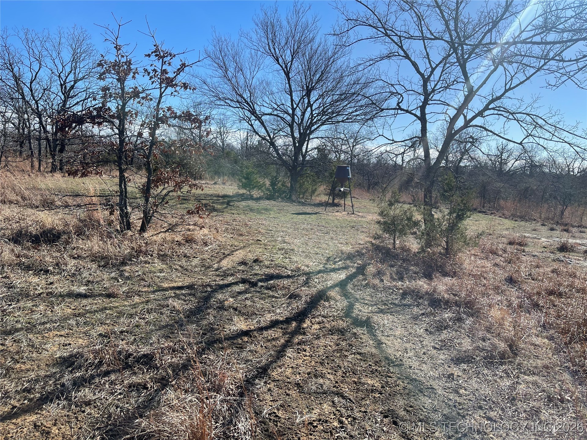 2600638 Property Photo 65