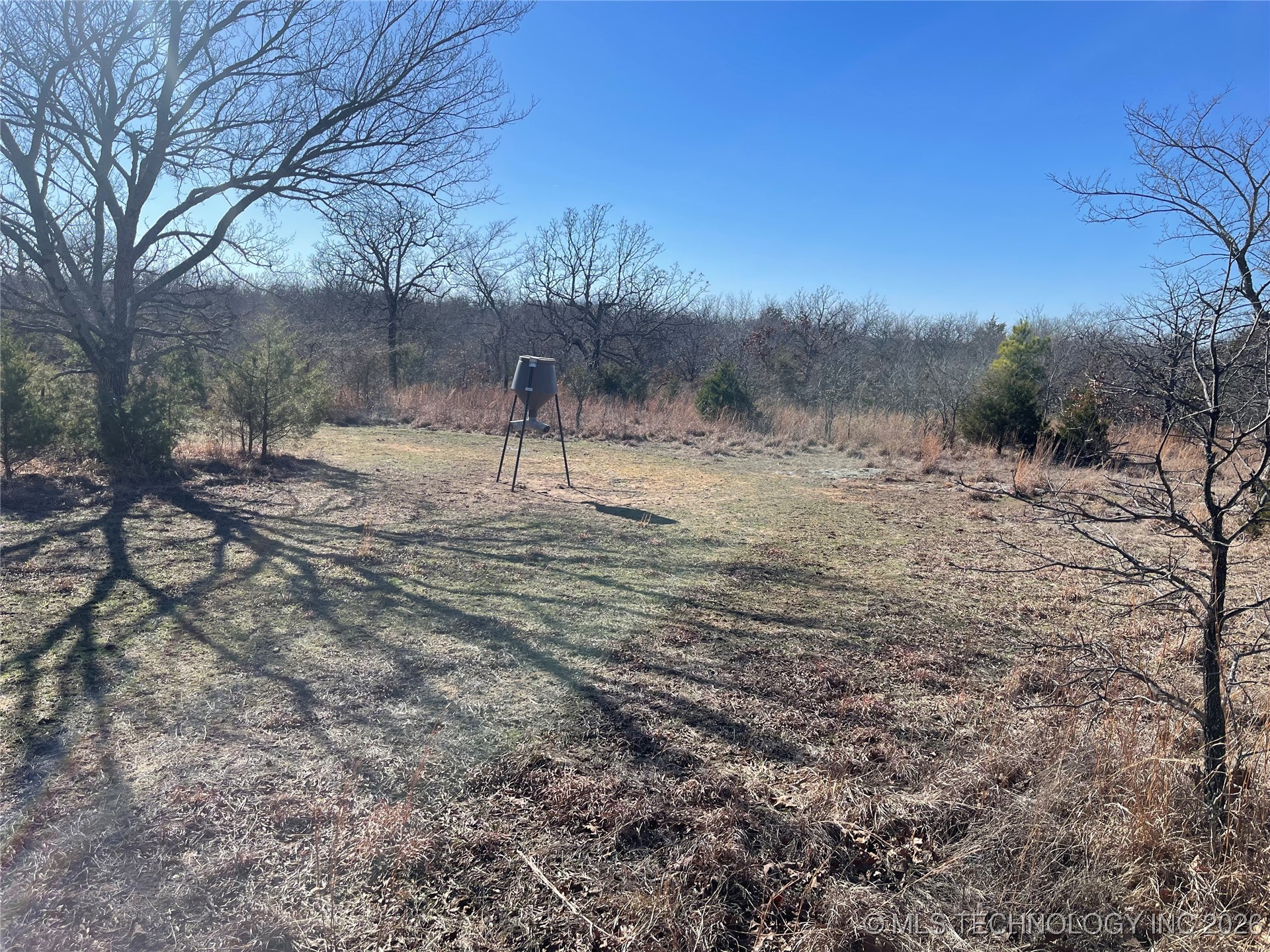 2600638 Property Photo 66